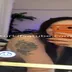 Ceydaria instagram abenelik ifşa videoları part 7