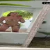 ipekroam  Onlyfans ifşa videoları 04.10.2026 part 13