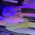 Kardeniz Kılıç instagram abonelik ifşa videoları voll 132