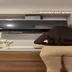 Kardeniz Kılıç instagram abonelik ifşa videoları voll 133