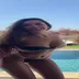 Kardeniz Kılıç instagram abonelik ifşa videoları voll 139