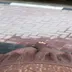 Kardeniz Kılıç instagram abonelik ifşa videoları voll 184