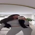 Kardeniz Kılıç instagram abonelik ifşa videoları voll 195