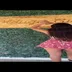 Kardeniz Kılıç instagram abonelik ifşa videoları voll 216