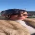 Kardeniz Kılıç instagram abonelik ifşa videoları voll 82