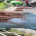 Melike Avcı - instagram abonelik ifşa videoları part 37