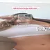 Psikolog Ayşe Özyürek İnstagram Abonelik ifşa videoları part 9