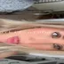 Zeynep Akçam Onlyfans ifşa Videoları Part 17